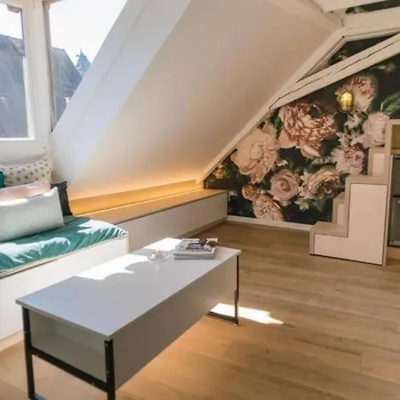 L'evasion - Cozy - Rbnb * Estrasburgo